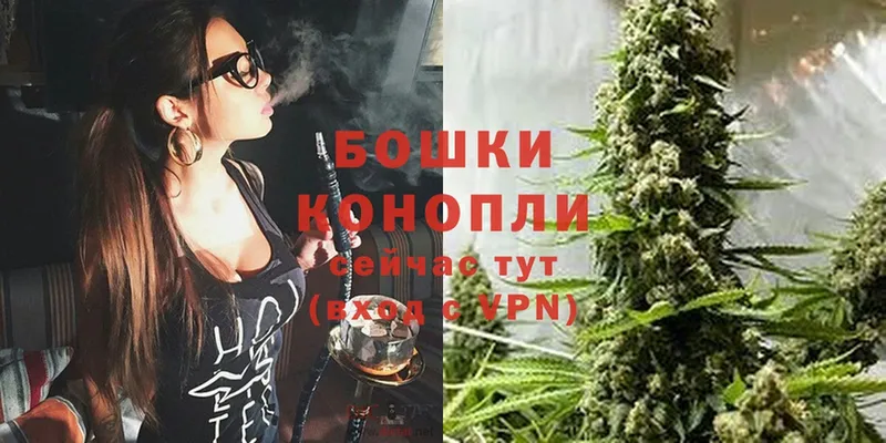 Шишки марихуана Bruce Banner  купить наркотик  Олонец 